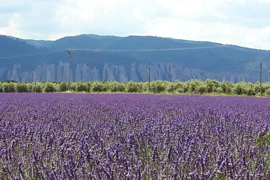 Le Gite Du Jas Vieux Montfort  Luaran gambar